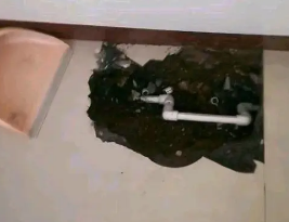 邹平卫生间测漏水多少钱